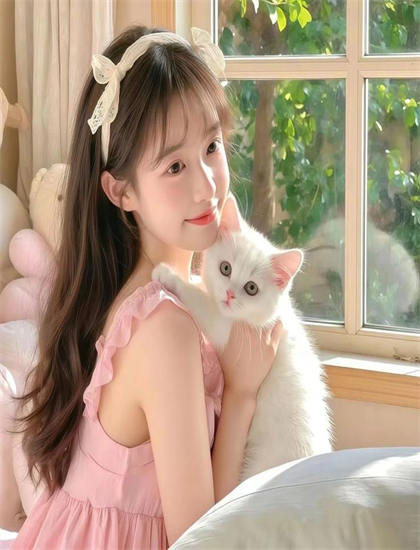 独家的《权力的堡垒 第二季》观看指南：剧情走向、时间线梳理与人物关系图详解