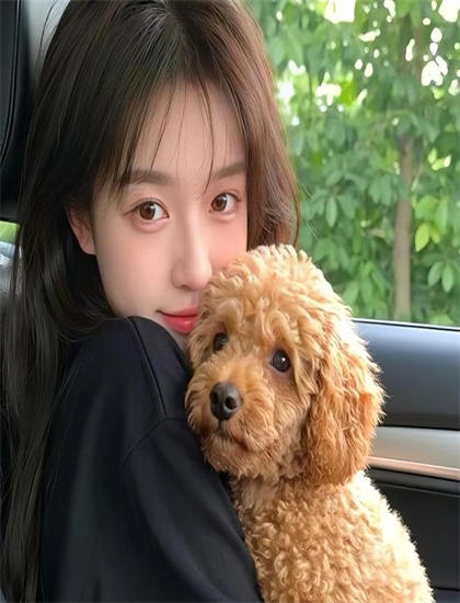 重役秘书京香追剧必备指南：如何把握节奏的起伏变化 提升观影体验